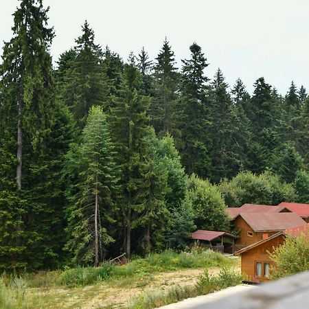 Iglika 2, V9 Apartment Borovets Bagian luar foto